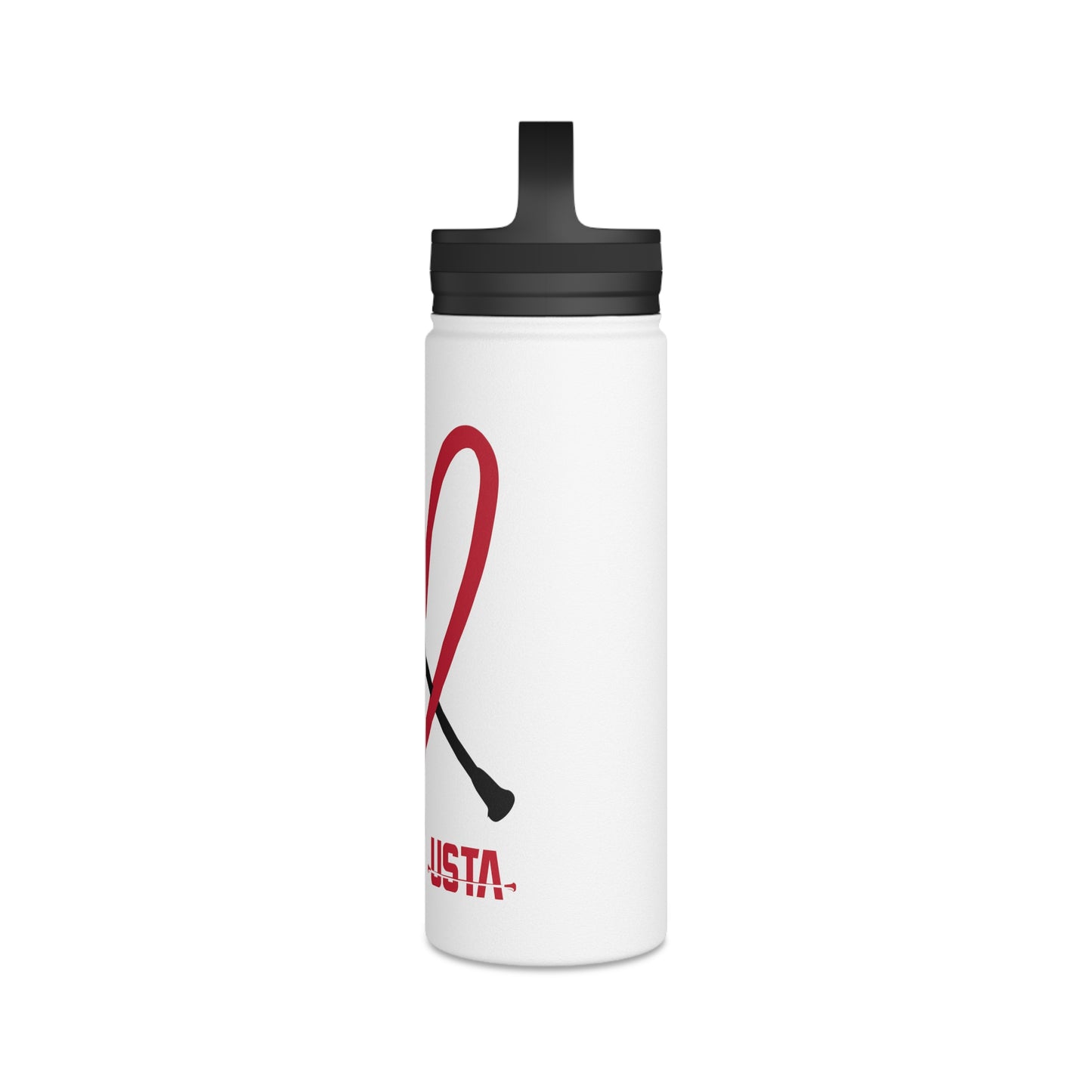 Stainless Steel Water Bottle, Handle Lid